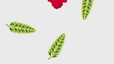 Yaz tropikal şablonu