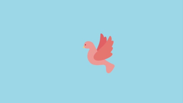Carino piccione rosa uccello volante — Video Stock