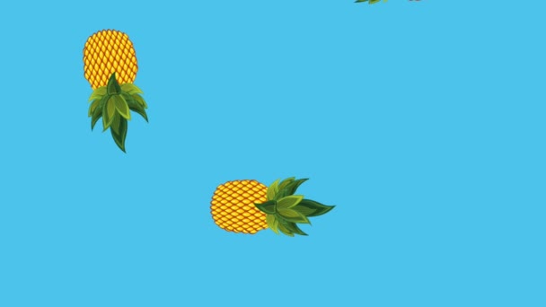 Plantilla tropical de verano — Vídeo de stock