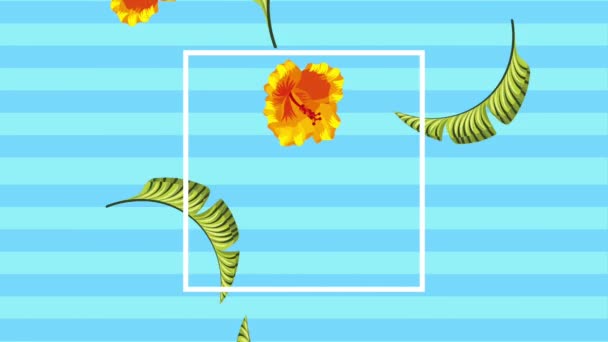 Plantilla tropical de verano — Vídeo de stock