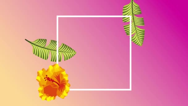 Plantilla tropical de verano — Vídeo de stock