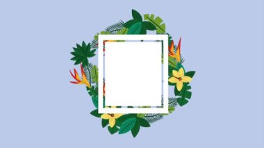 Yaz tropikal şablonu