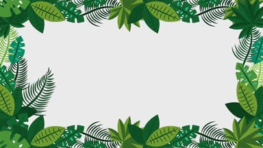 Yaz tropikal şablonu