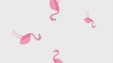 Yaz tropikal şablonu