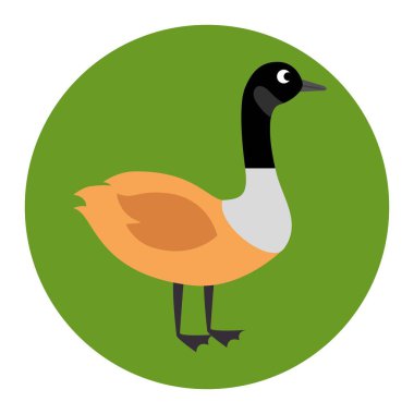 Kanada ördek sahne simgesi