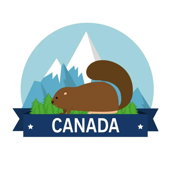 Hód kanadai állat jelenet — Stock Vector