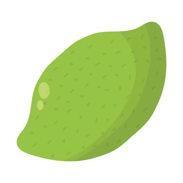 Čerstvé citrusové plody ikona — Stockový vektor