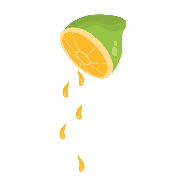 Färsk citroncitrusfrukt halv ikon — Stock vektor