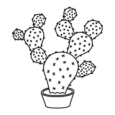 Kaktüs Meksika bitkisi ikonu izole