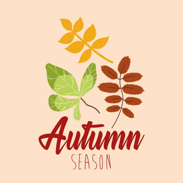 Hola temporada otoño hojas y caligrafía — Archivo Imágenes Vectoriales