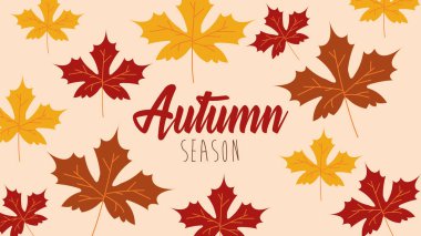 Merhaba sonbahar mevsimi akçaağaç yaprakları deseni.