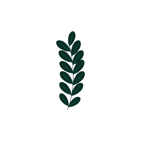 葉の自然生態系のアイコンを持つ枝 — ストックベクタ