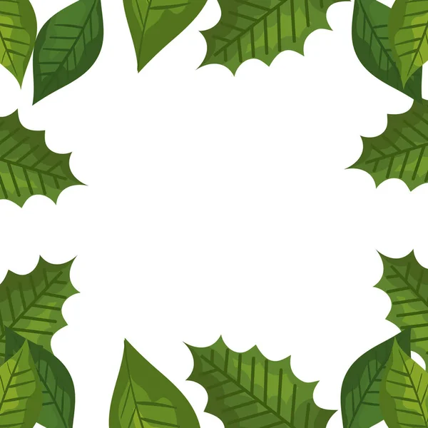 Quadro de folhas decorativas tropicais — Vetor de Stock