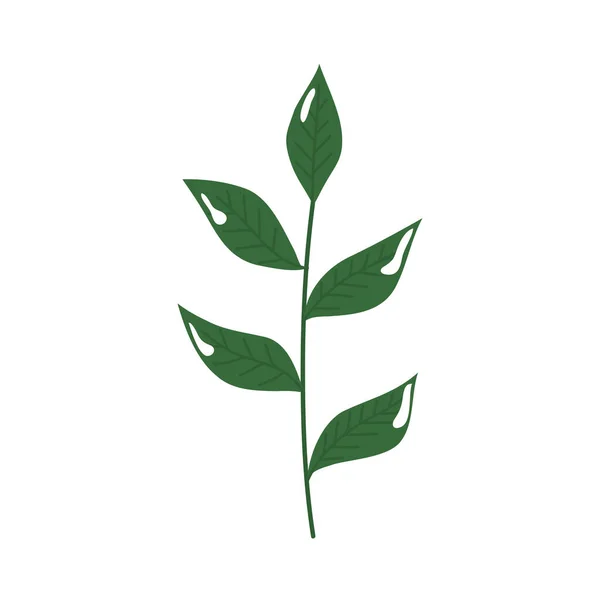 葉の自然生態系のアイコンを持つ枝 — ストックベクタ
