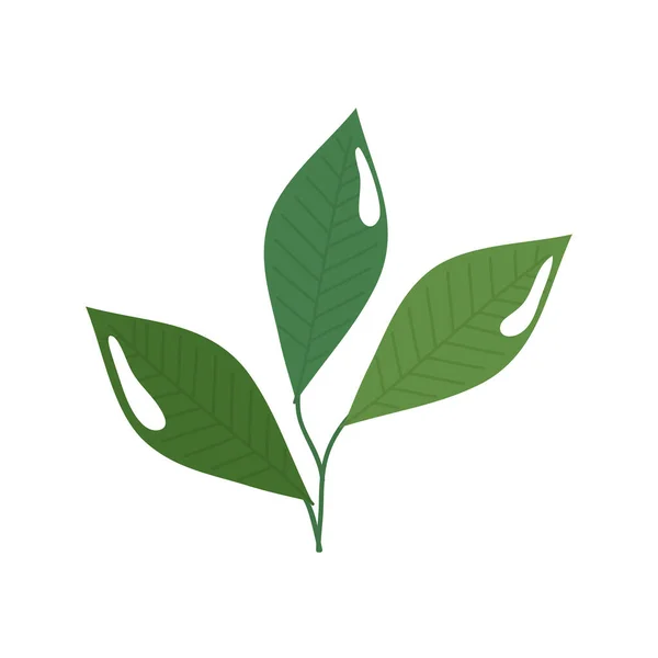Rama con hojas ecología naturaleza aislado icono — Vector de stock