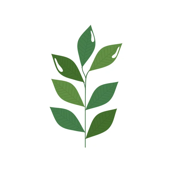 Gren med blad natur ekologi isolerad ikon — Stock vektor