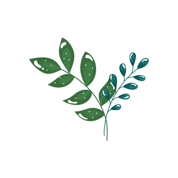 Ветви с листьями экологии изолированной иконы природы — стоковый вектор