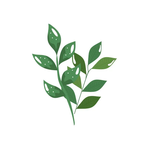 Ramas con hojas ecología naturaleza aislado icono — Vector de stock