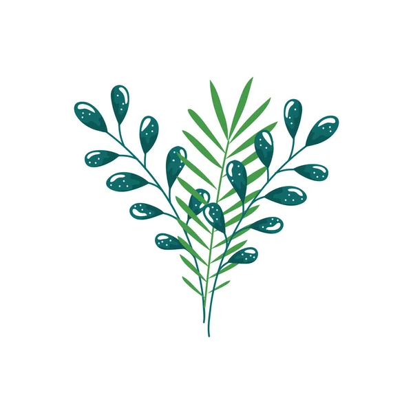 Grenar med blad natur ekologi isolerad ikon — Stock vektor