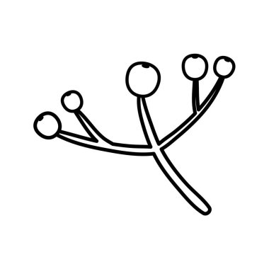 Noel tarzı meyveli şube