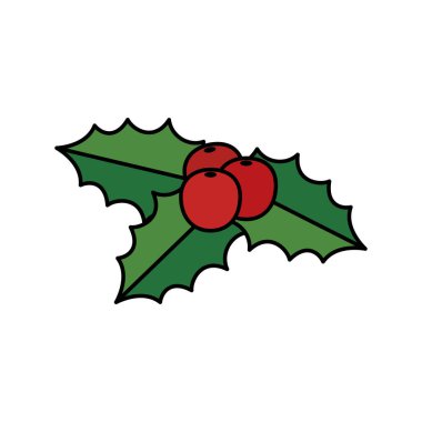 Tohum dekorasyonlu yapraklar izole edilmiş Noel simgesi