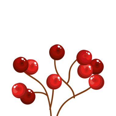 Geleneksel Noel meyveli dal izole edilmiş ikon