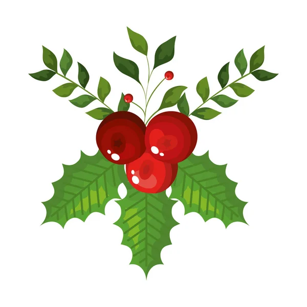 Hojas con semillas decoración Navidad aislado icono — Vector de stock