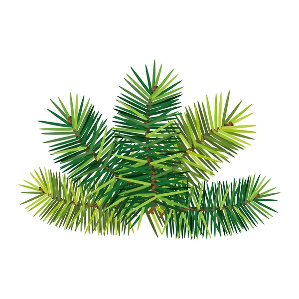 Leafs tropicals of christmas decorative isolated icon — Stock Vector