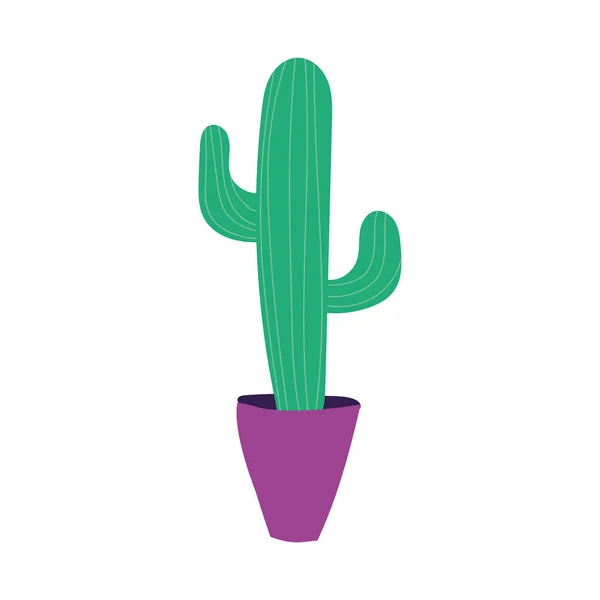 Mexican cactus plant nature icon — Stock Vector