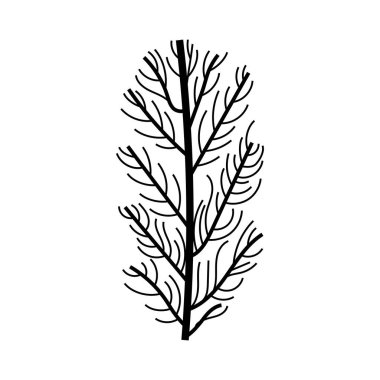 Yaprak bitki simgesi olan dal