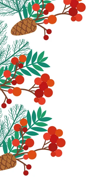 Bożonarodzeniowe ozdoby liści i nasion — Wektor stockowy