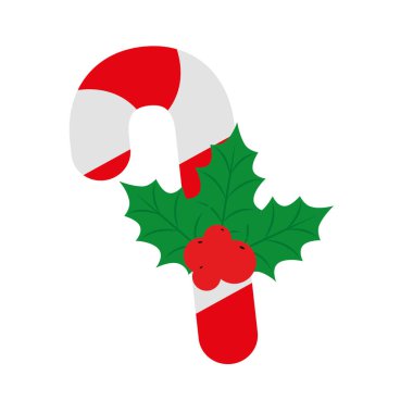 Yaprakları ve tohumları olan tatlı kamış Noel 'i