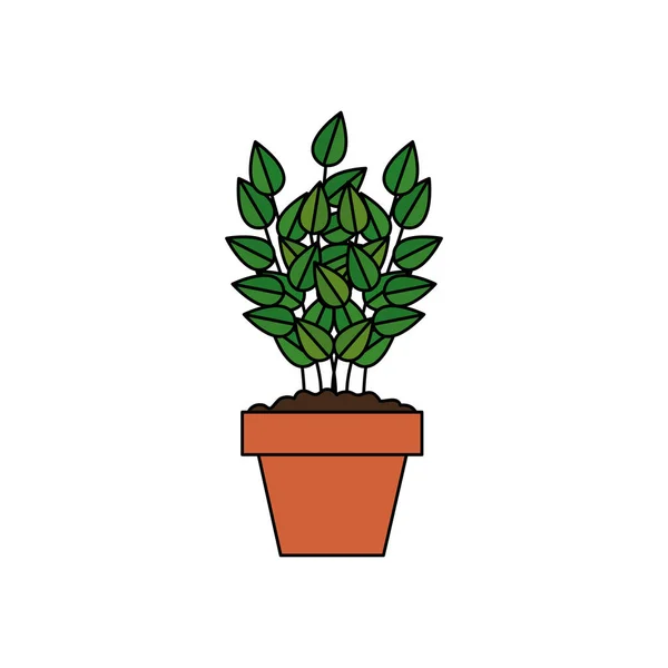 Φυτό σε γλάστρα απομονωμένο εικονίδιο — Διανυσματικό Αρχείο