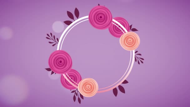Круглая рамка с красивым садом из роз — стоковое видео