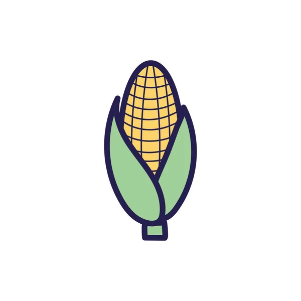 Fresh corn vegetable fill style icon — Stock Vector