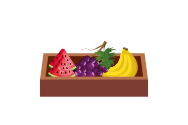 Ürün vektör tasarımlı izole edilmiş ahşap kutu