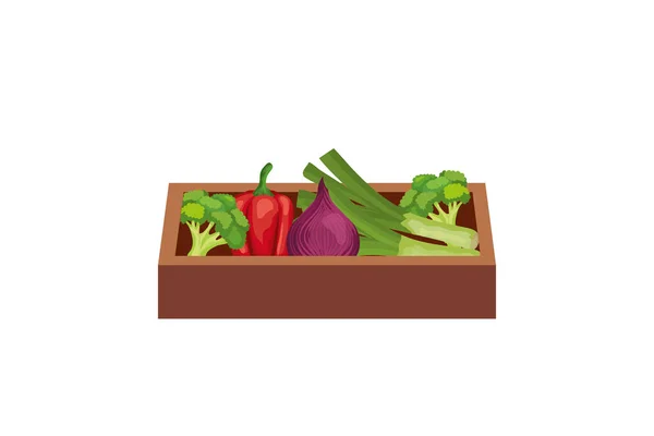 Здоровый овощ в деревянной коробке изолированный значок — стоковый вектор