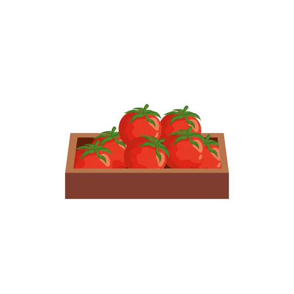 Legumes de tomates em caixa de madeira ícone isolado — Vetor de Stock