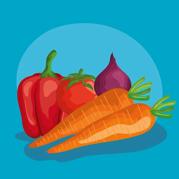 Cenouras cebola pimenta e desenho vetorial de tomate —  Vetores de Stock