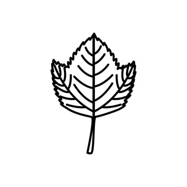 Sonbahar sezonu yaprak vektör tasarımı