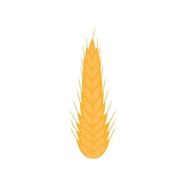 Isoliertes Weizenährenvektordesign — Stockvektor