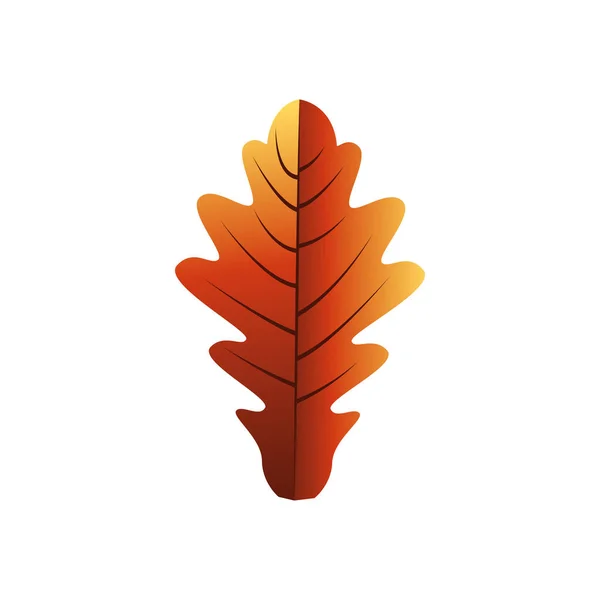 Conception vectorielle de feuille de saison d'automne — Image vectorielle
