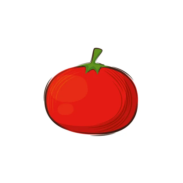 Tomater färska vegetabiliska isolerade ikonen — Stock vektor