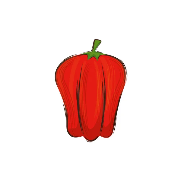 辣椒新鲜蔬菜孤立的图标 — 图库矢量图片