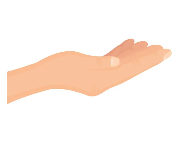 Mão humana recebendo ícone isolado — Vetor de Stock