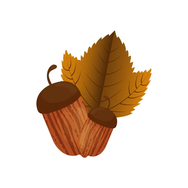 가을 시즌 ACORN 과 leaf 벡터 디자인 — 스톡 벡터