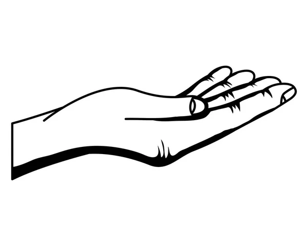 Ręka człowieka otrzymującego izolowaną ikonę — Wektor stockowy