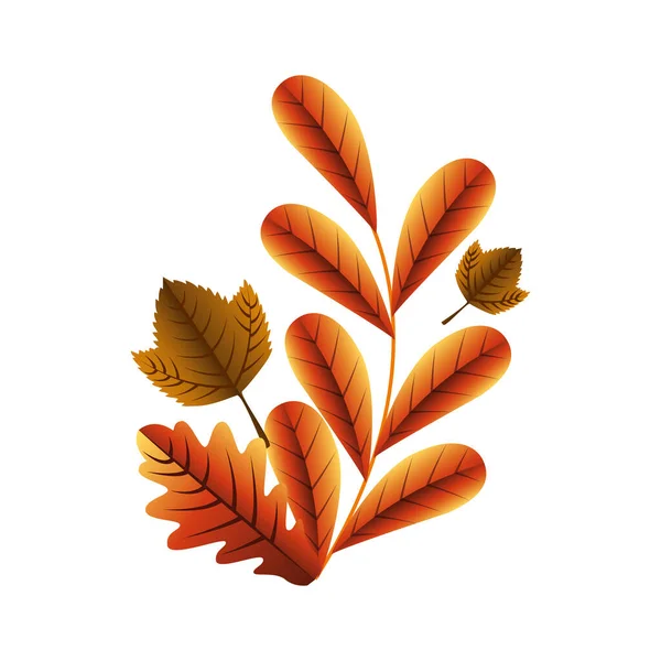 Automne saison feuilles vectoriel design — Image vectorielle