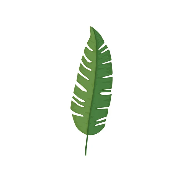 Blatt Natur tropisch isoliert Symbol — Stockvektor