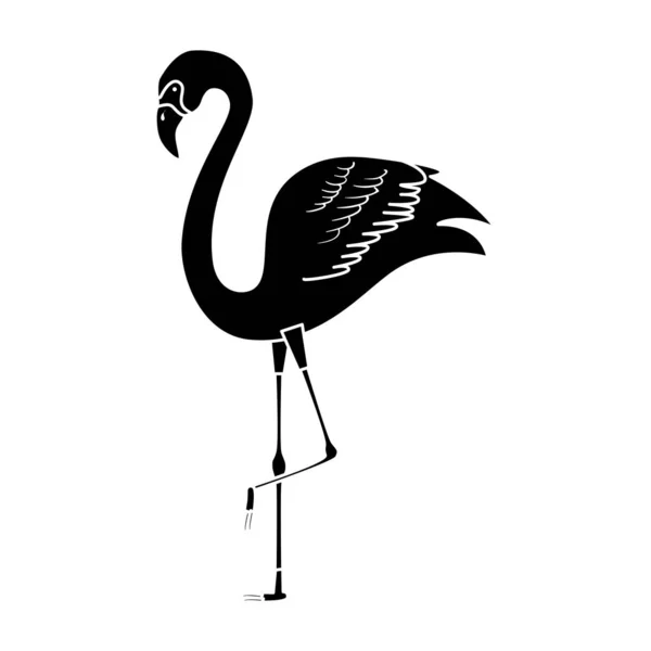 Sziluett flamingó állat egzotikus izolált ikon — Stock Vector